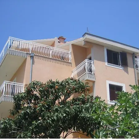 Slavica Olive 3 *